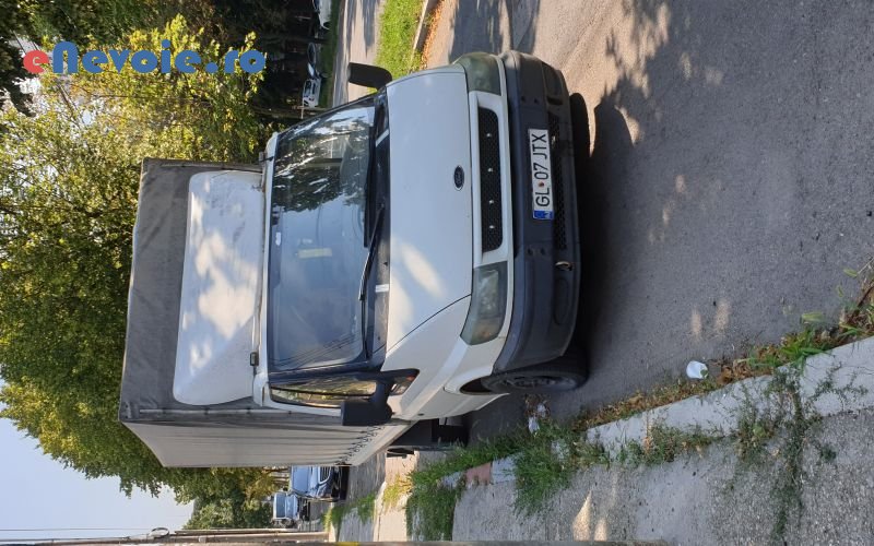 2servicii-mutari-transport-marfuri-transport-depozitare--lucian-criste.png