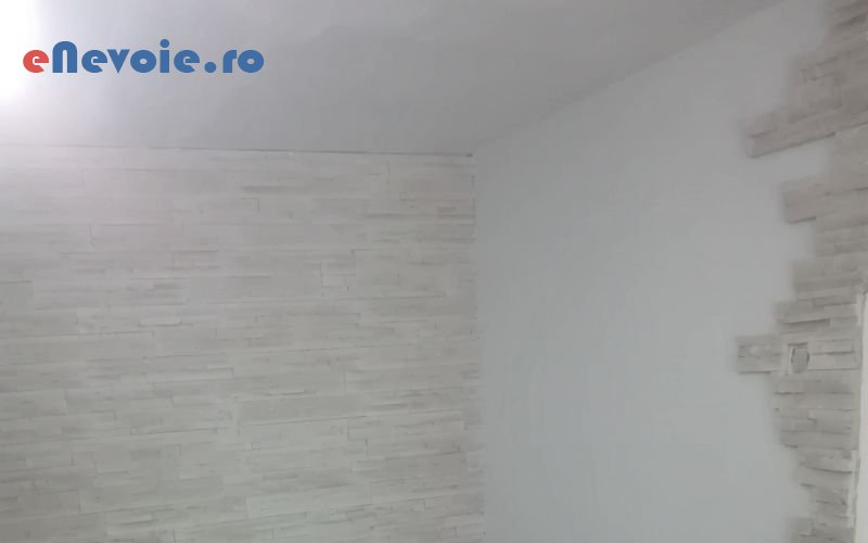 1amenajari-interioare-casa-si-gradina--lucian-ionut-.png