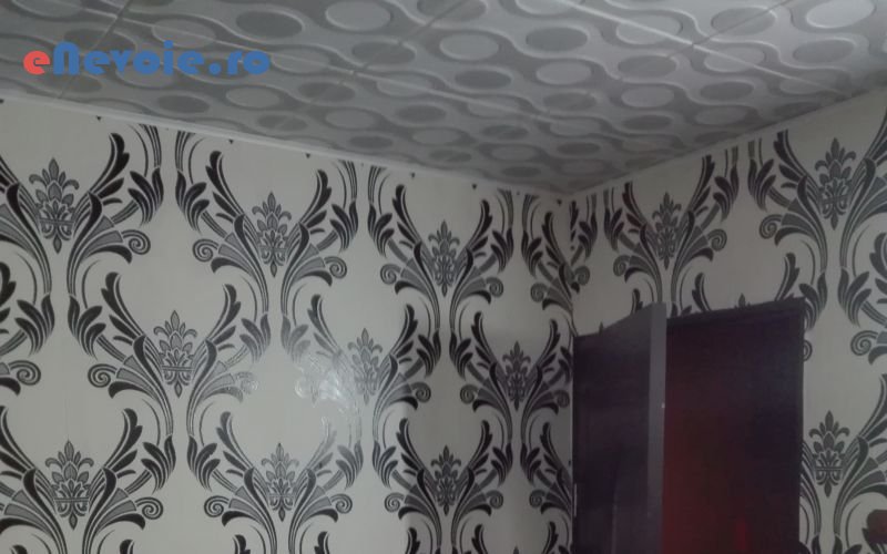4amenajari-interioare-casa-si-gradina--lucian-ionut-.png