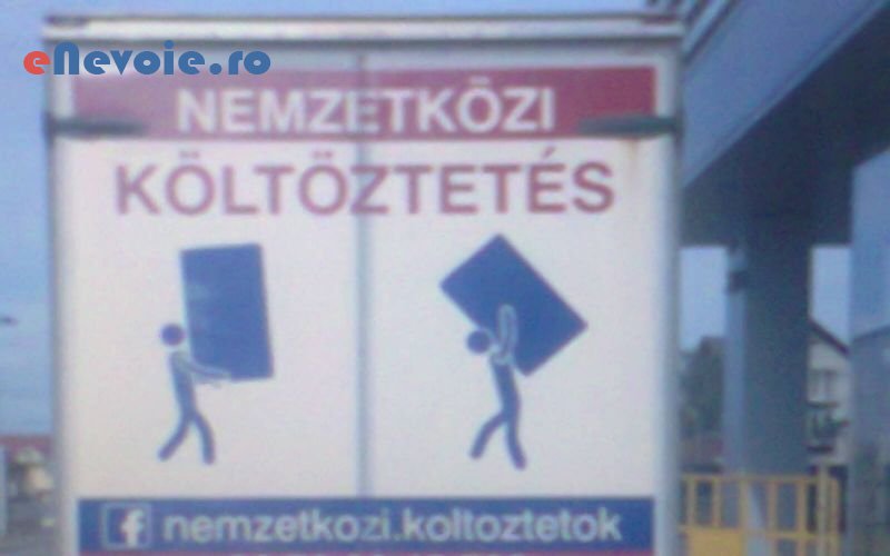 6servicii-mutari-inchirieri-masini-de-transport-transport-depozitare--lucian-tomesc.png