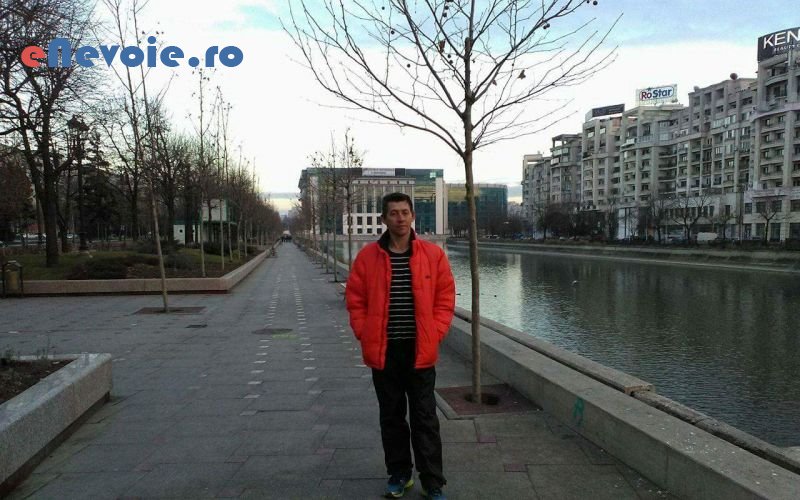 1montare-mobila-mobilier-si-tamplarie--marian-nenciu.png