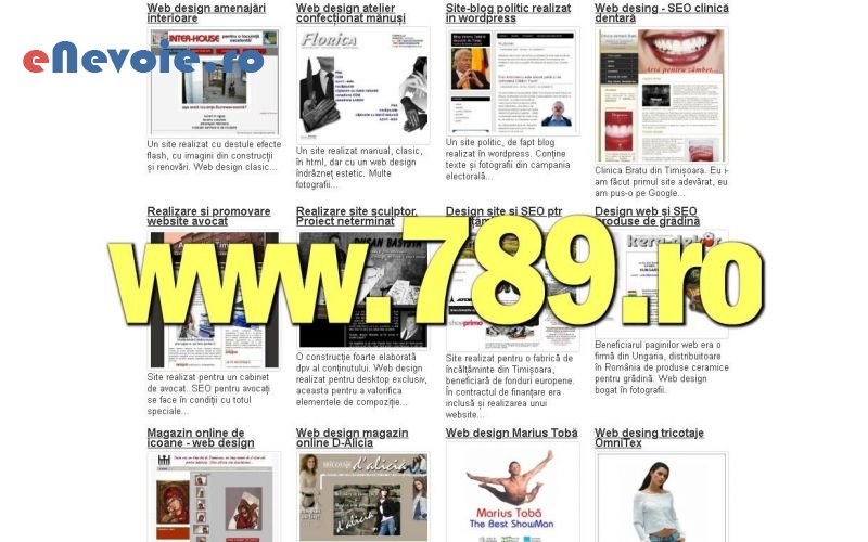 2optimizare-website-uri-servicii-it-creare-website-uri-consultanta-contabilitate-it--matei-bitea-7.png