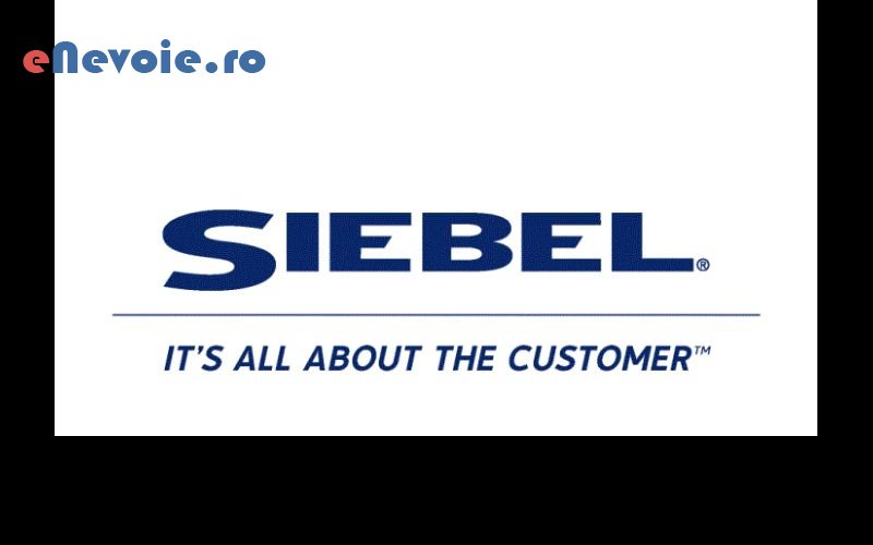 1consultanta-it-consultanta-contabilitate-it--mihaela-dejeu-7720-an.png