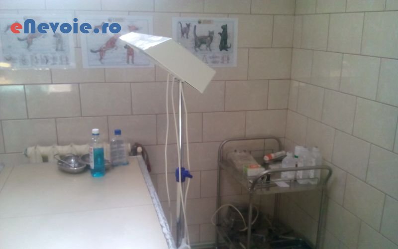 1cabinet-medical-individual-servicii-medicale--mihai-matiut-65.png