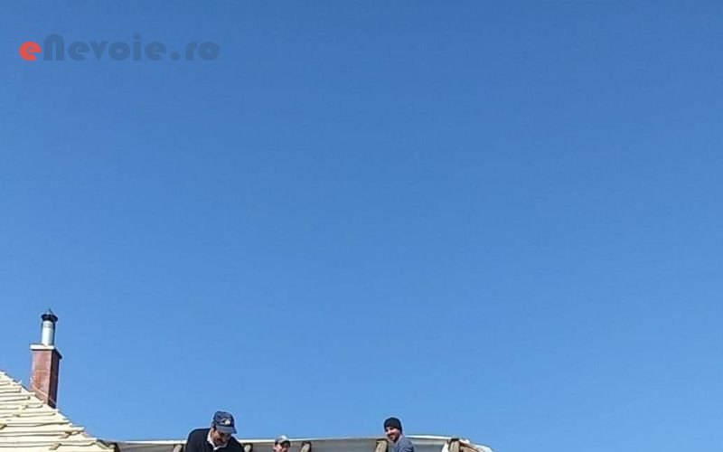 3alpinism-utilitar-reconditionari-suprafete-din-lemn-hale-metalice-demolari-hidroizolatii-acoperisuri-constructii--miklos-gabor-.png