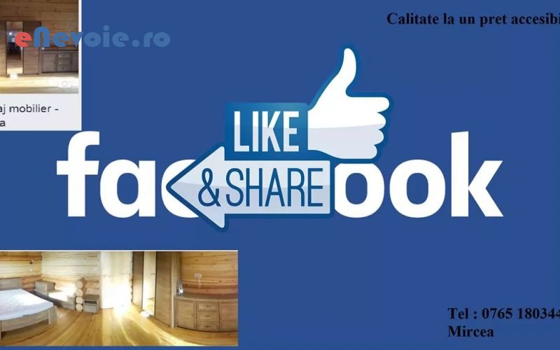 1plasa-de-insecte-jaluzele-montare-mobila-reparatii-mobilier-mobilier-si-tamplarie--mircea-dobres.png