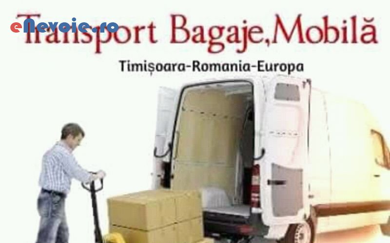 1servicii-mutari-transport-marfuri-transport-depozitare--nicolae-vanoga-.png
