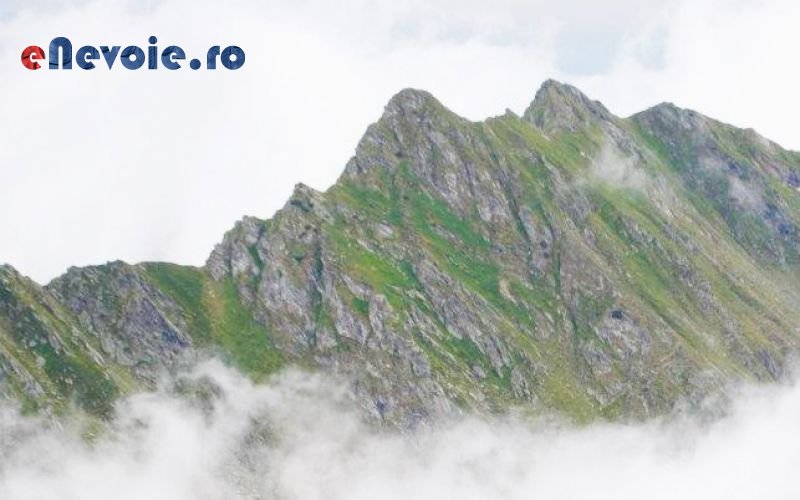 Imagine din portofoliu de lucrari