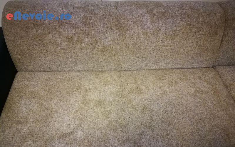 curatenie-casa-si-gradina--office-3206-862.png