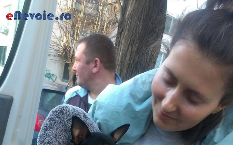 Imagine din portofoliu de lucrari