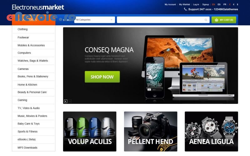 optimizare-website-uri-servicii-it-creare-website-uri-consultanta-contabilitate-it--olxx2019-0975-2d1.png