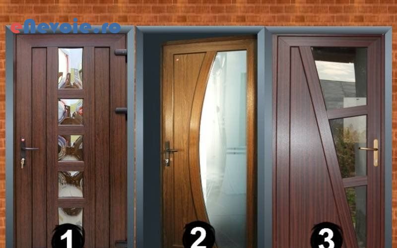 plasa-de-insecte-ferestre-usi-reparatii-tamplarie-tamplarie-pvc-mobilier-si-tamplarie--petrica-apostol1.png