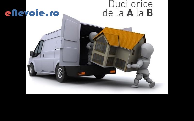 1servicii-mutari-transport-marfuri-transport-depozitare--radu-fetcu-26.png