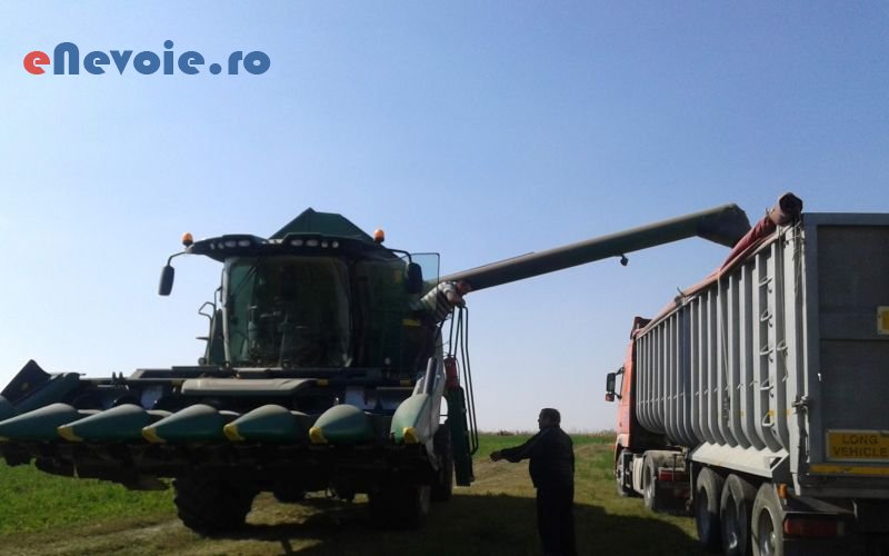 4transport-agabaritic-transport-basculabil-inchirieri-masini-de-transport-transport-marfuri-transport-depozitare--robert-mutiha.png