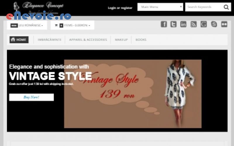 2optimizare-website-uri-servicii-it-consultanta-it-creare-website-uri-consultanta-contabilitate-it--sandel-silive.png