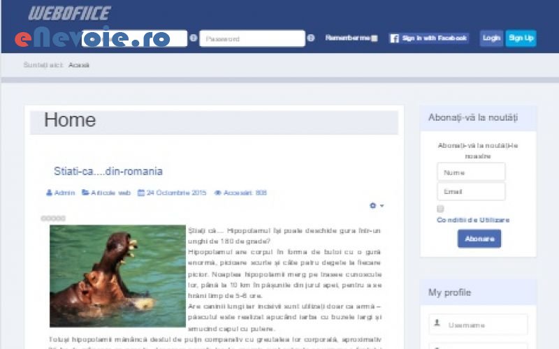 3optimizare-website-uri-servicii-it-consultanta-it-creare-website-uri-consultanta-contabilitate-it--sandel-silive.png