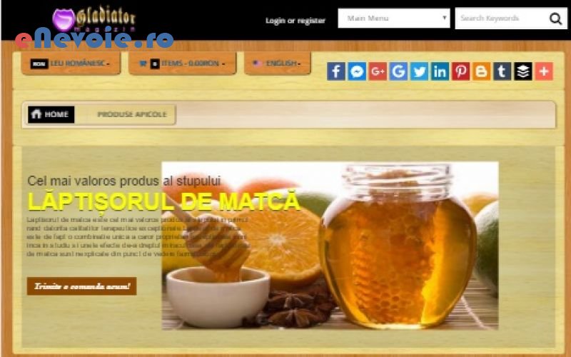 4optimizare-website-uri-servicii-it-consultanta-it-creare-website-uri-consultanta-contabilitate-it--sandel-silive.png