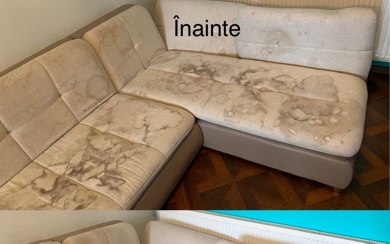2spalatorie-covoare-curatenie-casa-si-gradina--sc-aria-inves.png