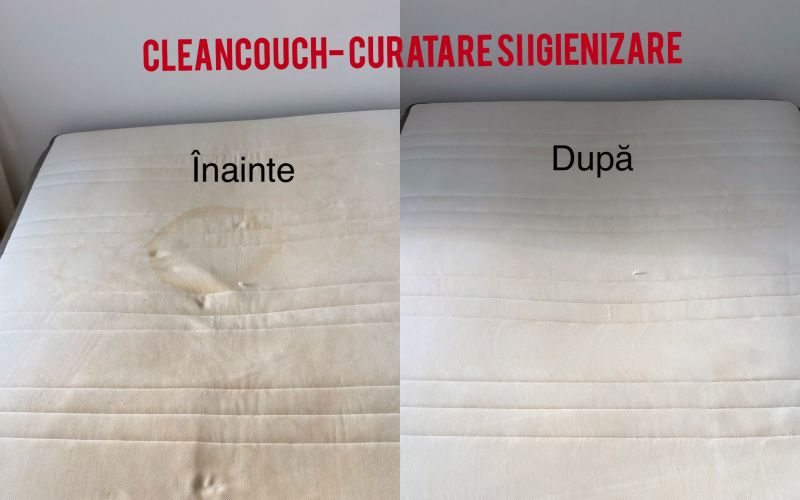 6spalatorie-covoare-curatenie-casa-si-gradina--sc-aria-inves.png