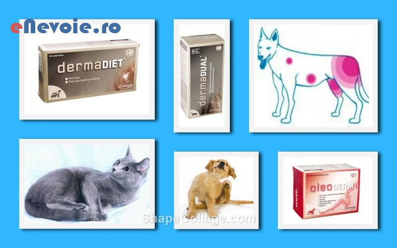 3cosmetica-si-ingrijire-animale-ingrijire-animale--sc-biopet-trad.png