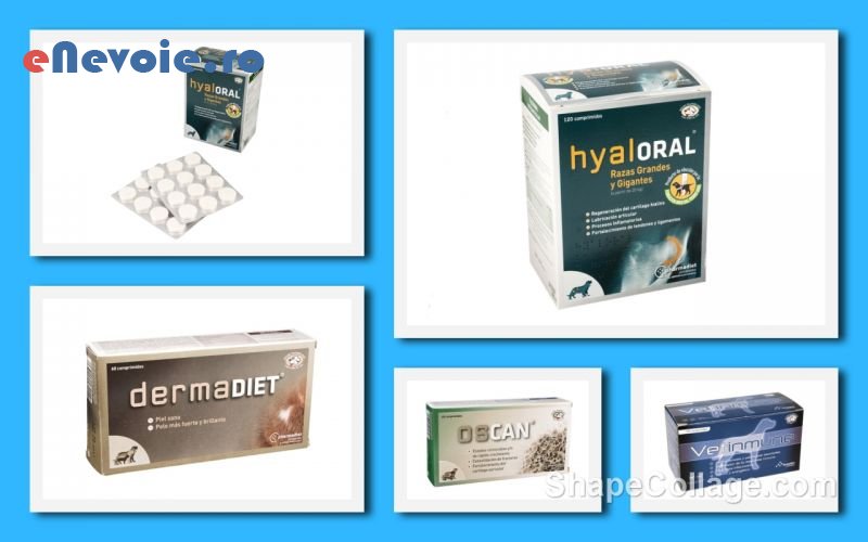 5cosmetica-si-ingrijire-animale-ingrijire-animale--sc-biopet-tran.png