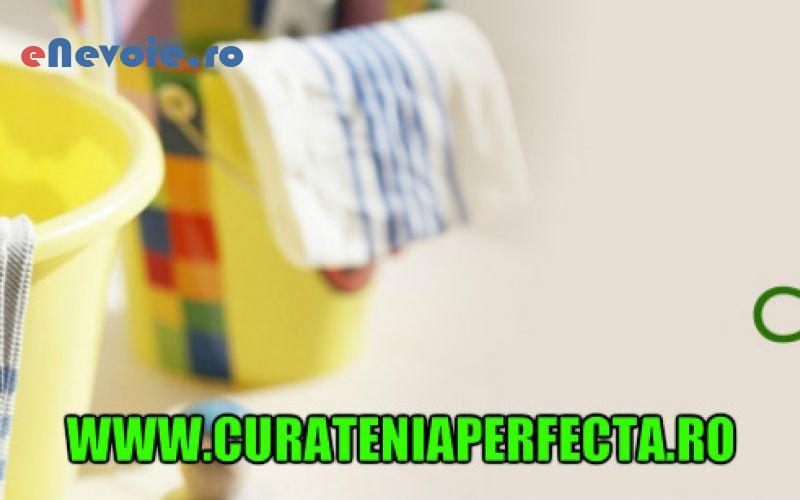 4curatenie-casa-si-gradina--sc-bogner-prest.png