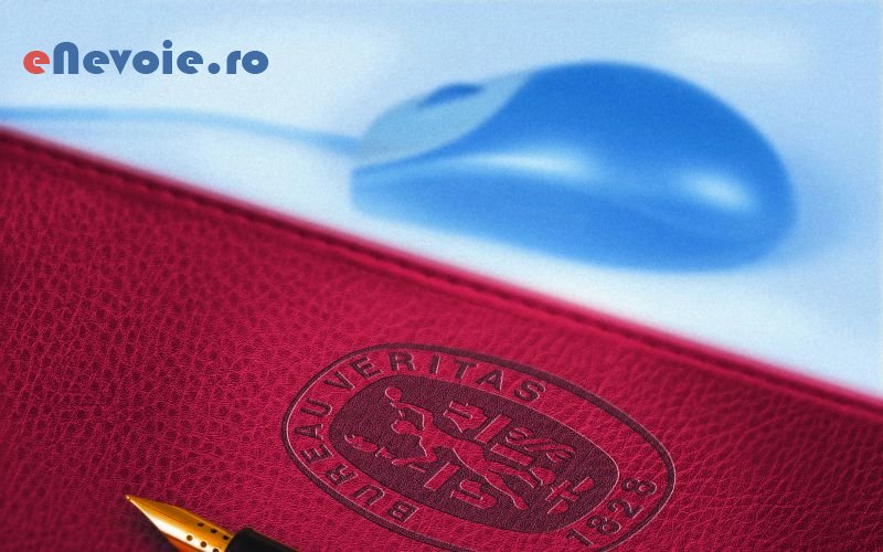 1cursuri-training-uri-educatie-formare-profesionala--sc-bureau-ver.png