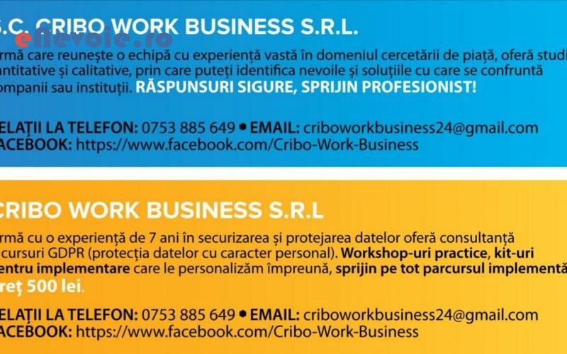 4consultanta-in-afaceri-consultanta-contabilitate-it--sc-cribo-work.png