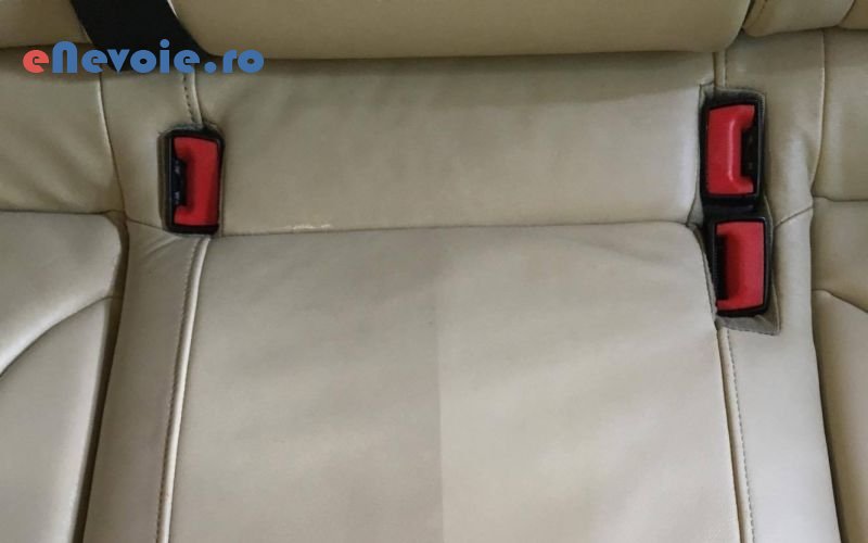 3detailing-auto-curatare-interioare-auto-polish-faruri-auto-moto--sc-echo-system-.png