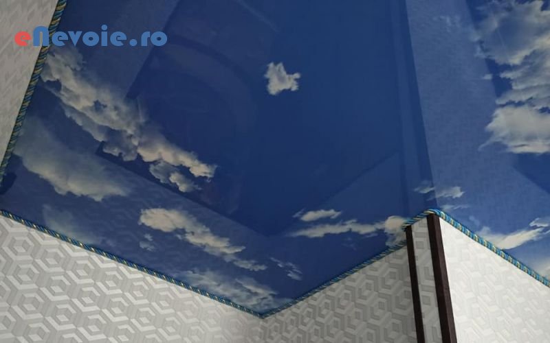 1amenajari-interioare-casa-si-gradina--sc-eco-dream-.png