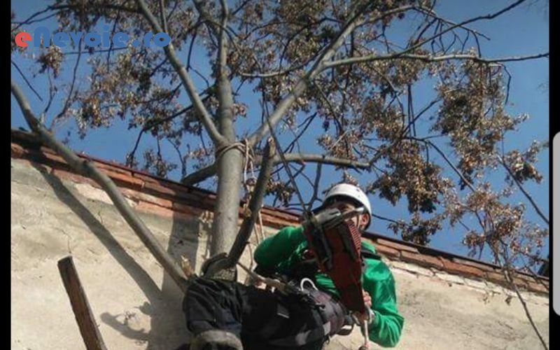 2alpinism-utilitar-constructii--sc-fibretech-.png