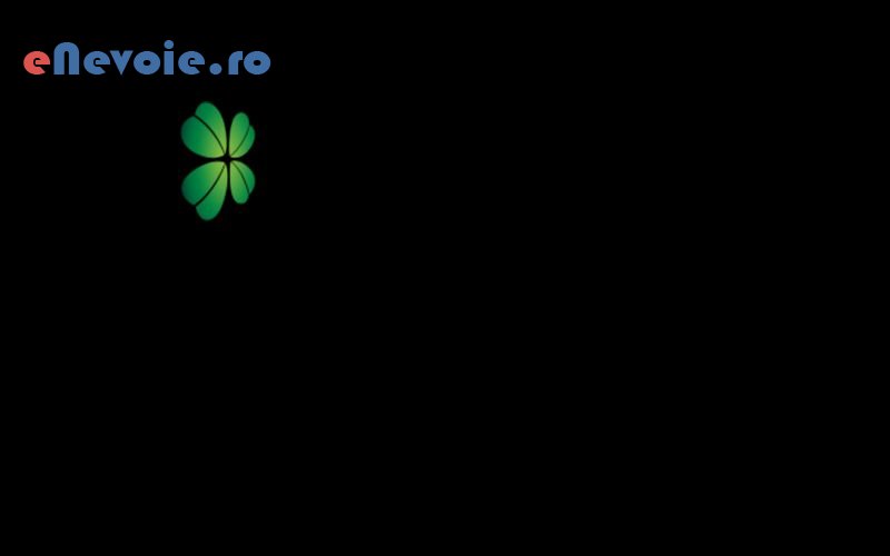 6optimizare-website-uri-creare-website-uri-consultanta-contabilitate-it--sc-fiveplus-si.png