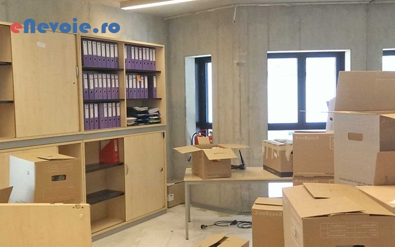 2transport-animale-servicii-mutari-transport-persoane-timisoara-oriunde-transport-marfuri-transport-depozitare--sc-gs-trans-2.png