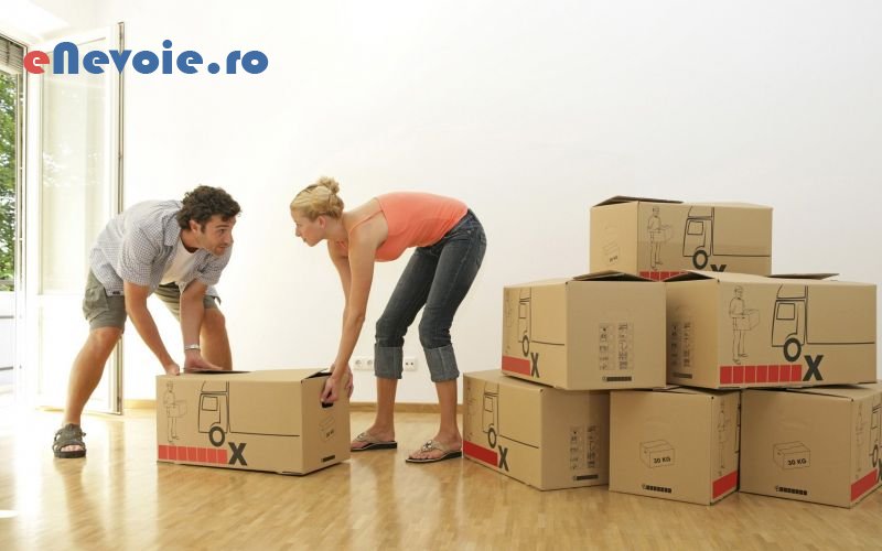 3transport-animale-servicii-mutari-transport-persoane-timisoara-oriunde-transport-marfuri-transport-depozitare--sc-gs-trans-2.png