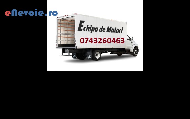 5transport-animale-servicii-mutari-transport-persoane-timisoara-oriunde-transport-marfuri-transport-depozitare--sc-gs-trans-2.png