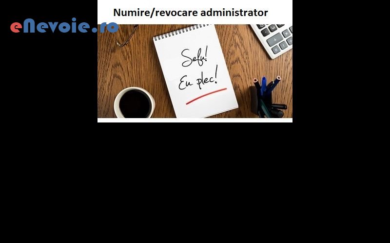 6infiintare-societati-consultanta-juridica-consultanta-contabilitate-it--sc-pinamix-so.png