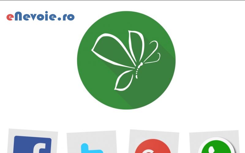 1optimizare-website-uri-creare-website-uri-consultanta-contabilitate-it--sc-soulmattere.png