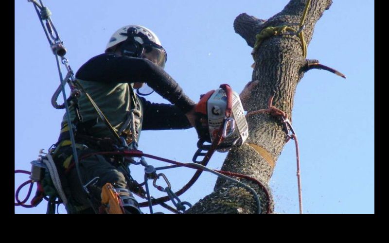 4sudura-constructii-si-mentenanta-piscine-inchirieri-accesorii-constructii-inchirieri-utilaje-constructii-alpinism-utilitar-recondi-sc-spideralpi.png