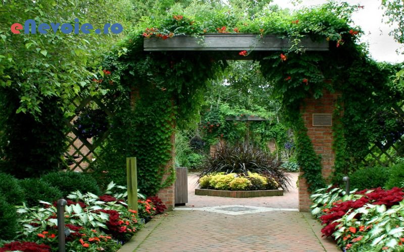 1amenajari-exterioare-casa-si-gradina--sc-stylish-fl.png