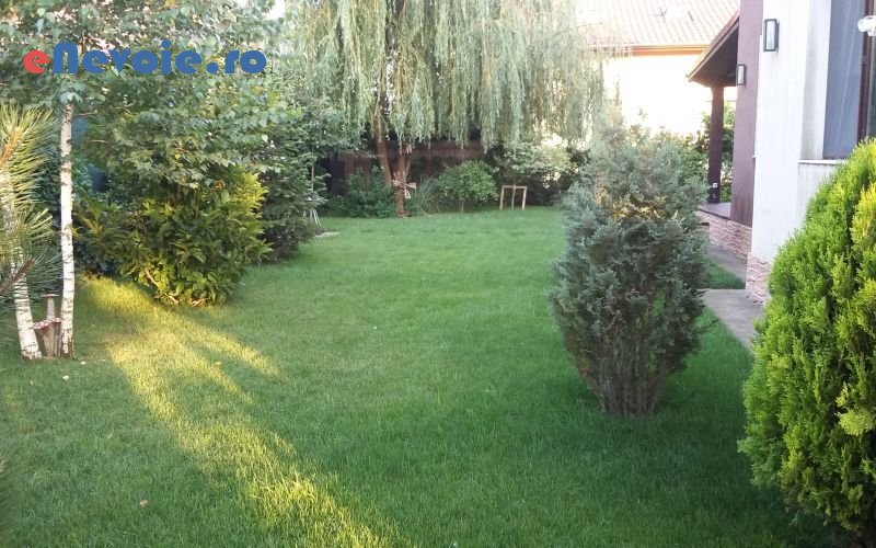 2amenajari-exterioare-casa-si-gradina--sc-stylish-fls.png
