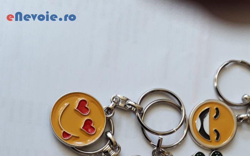 6multiplicare-chei-locuinte-deblocare-usi-casa-si-gradina--sc-universal-.png