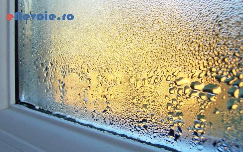 6amenajari-exterioare-casa-si-gradina--sc-window-sol.png