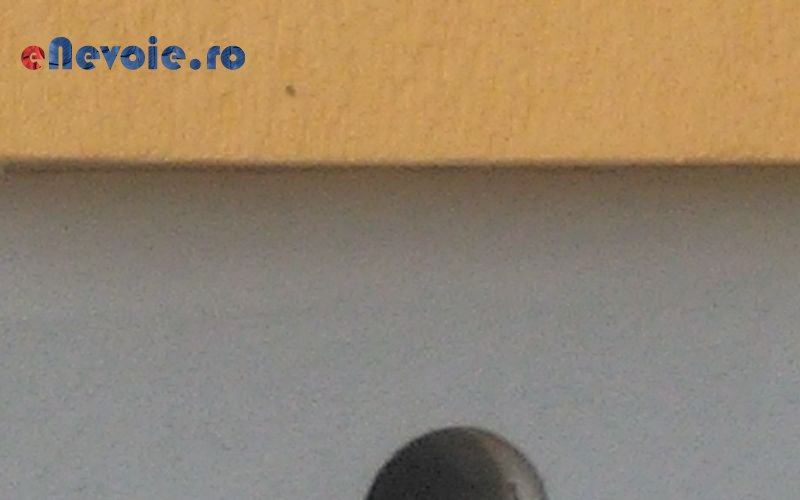 constructii-constructii-civile-shrek324831-0535-002.png