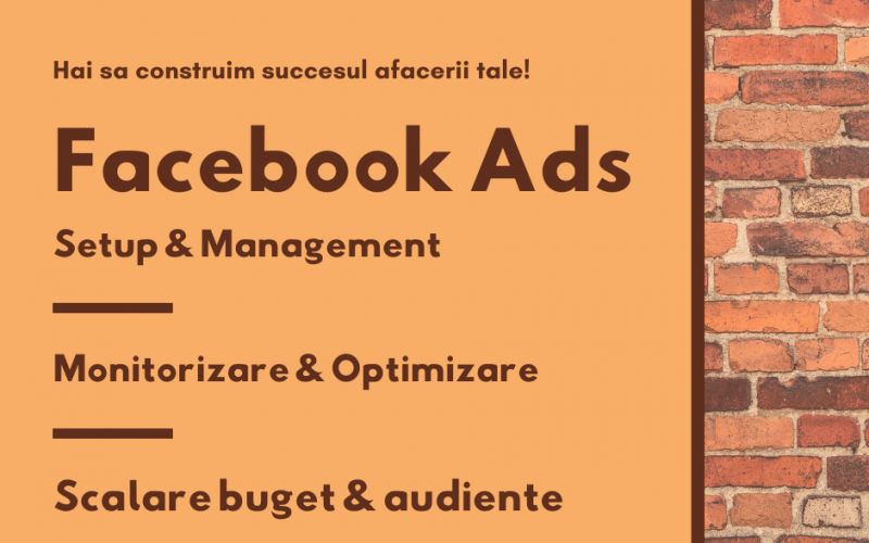 1servicii-it-consultanta-contabilitate-it--timpea-razvan.png