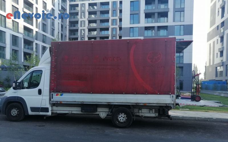 4transport-animale-servicii-depozitare-servicii-mutari-inchirieri-auto-inchirieri-masini-de-transport-transport-marfuri-transport-d-transport-mare.png