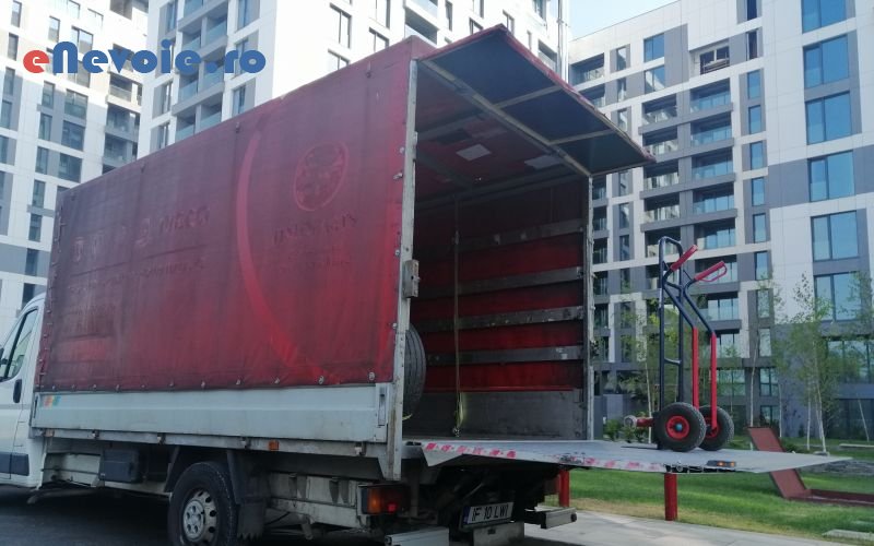 6transport-animale-servicii-depozitare-servicii-mutari-inchirieri-auto-inchirieri-masini-de-transport-transport-marfuri-transport-d-transport-marf.png