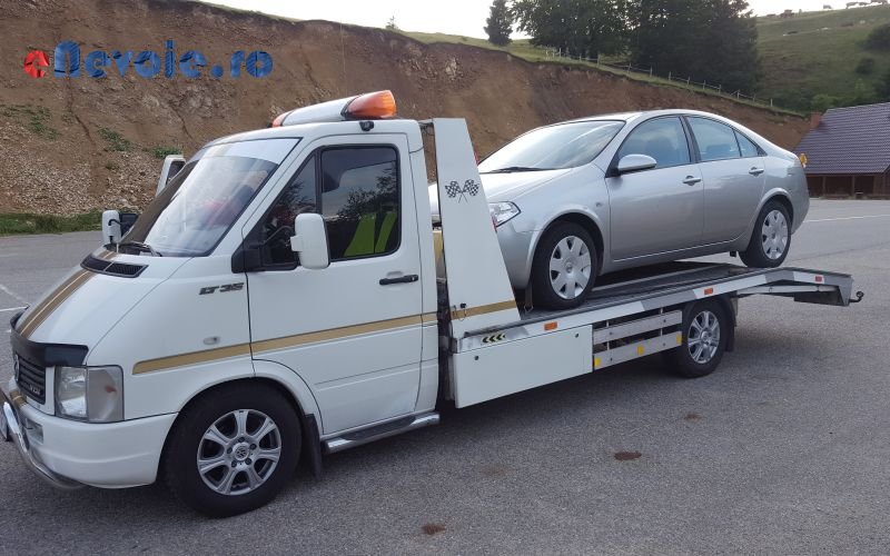 Imagine din portofoliu de lucrari