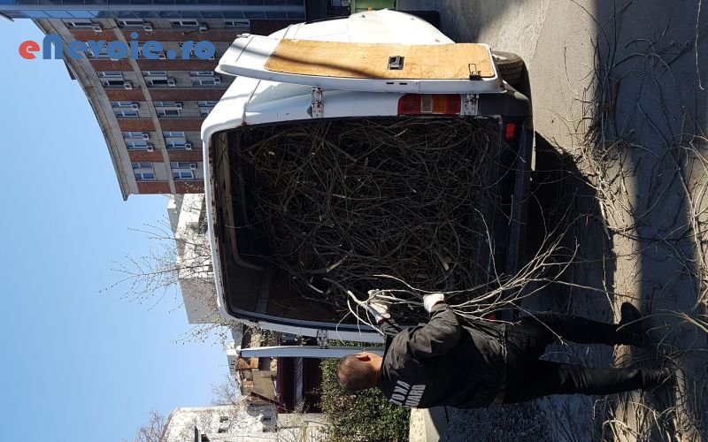 1transport-marfuri-transport-depozitare--valentin-ochid.png