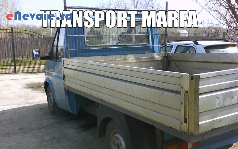 servicii-mutari-transport-marfuri-transport-depozitare--valentinzetiu-0255-2e1.png