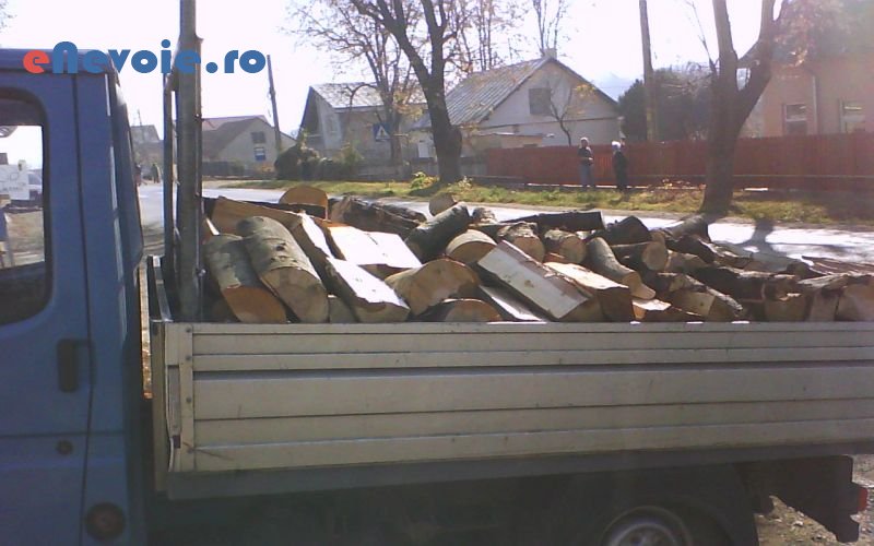 Imagine din portofoliu de lucrari